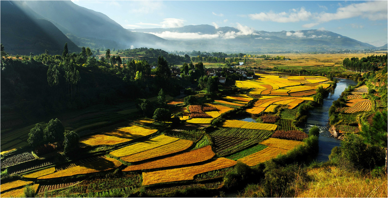 Nguyen tac phong thuy nha o vuong van trong mua thu